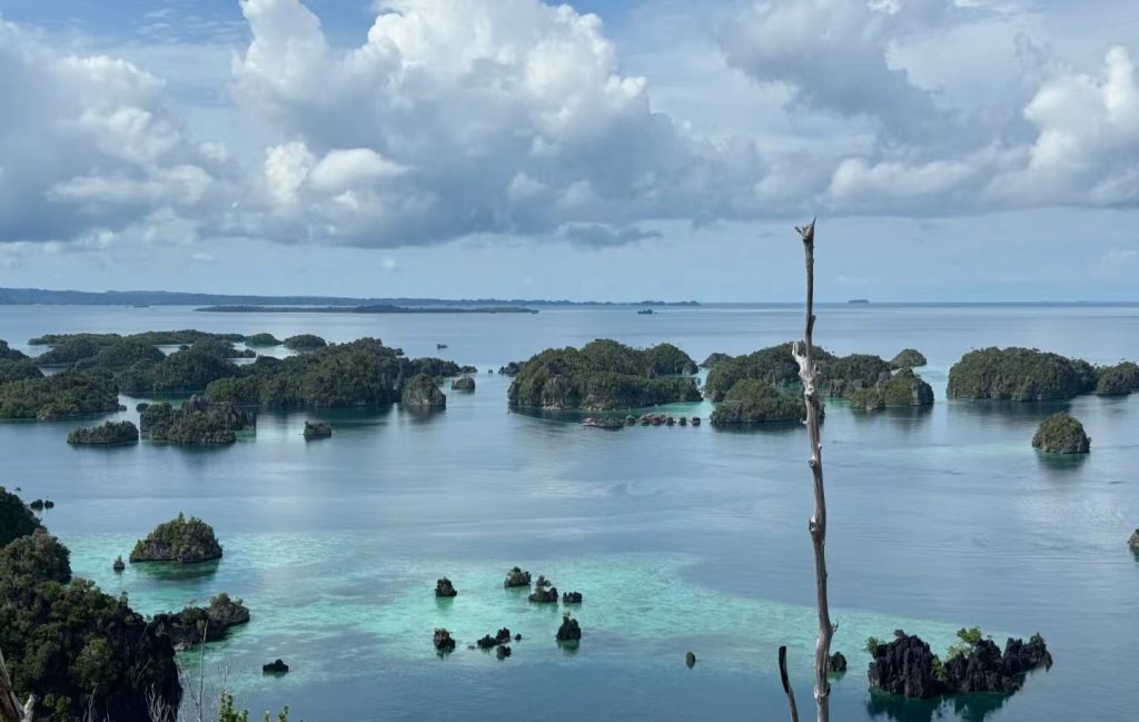 This image has an empty alt attribute; its file name is 32a4a0e956b1debc84a46ed945f6c1d-1024x649.jpg